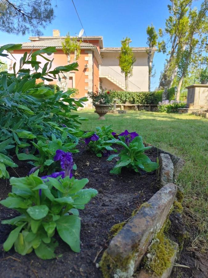 Bed and Breakfast Borgo Sciugolo Baselice Exterior foto